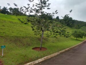 Terreno em condomínio 1370 m2 no Village Paraibuna