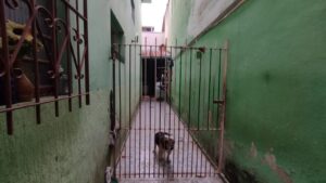 OPORTUNIDADE – Sobrado – 3 dormitórios no Jardim Terras do Sul